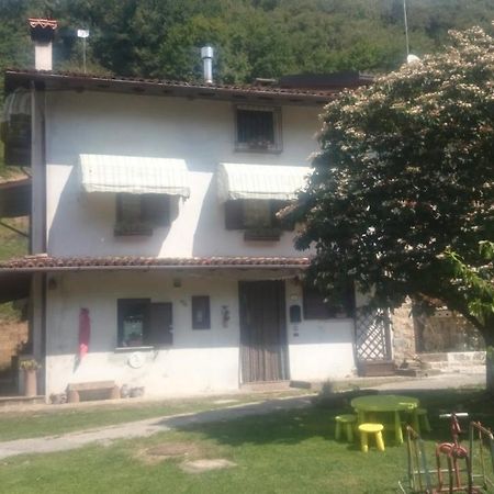 B&B In Fattoria Frisanco Dış mekan fotoğraf