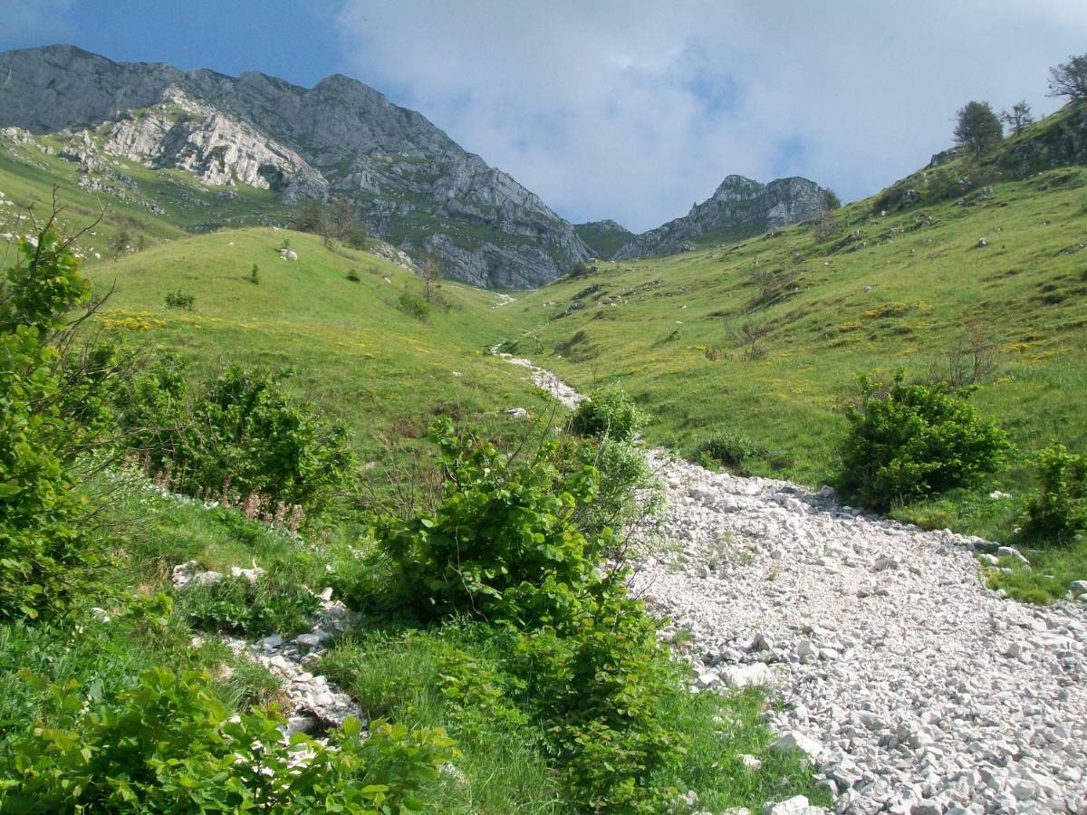 B&B In Fattoria Frisanco Dış mekan fotoğraf