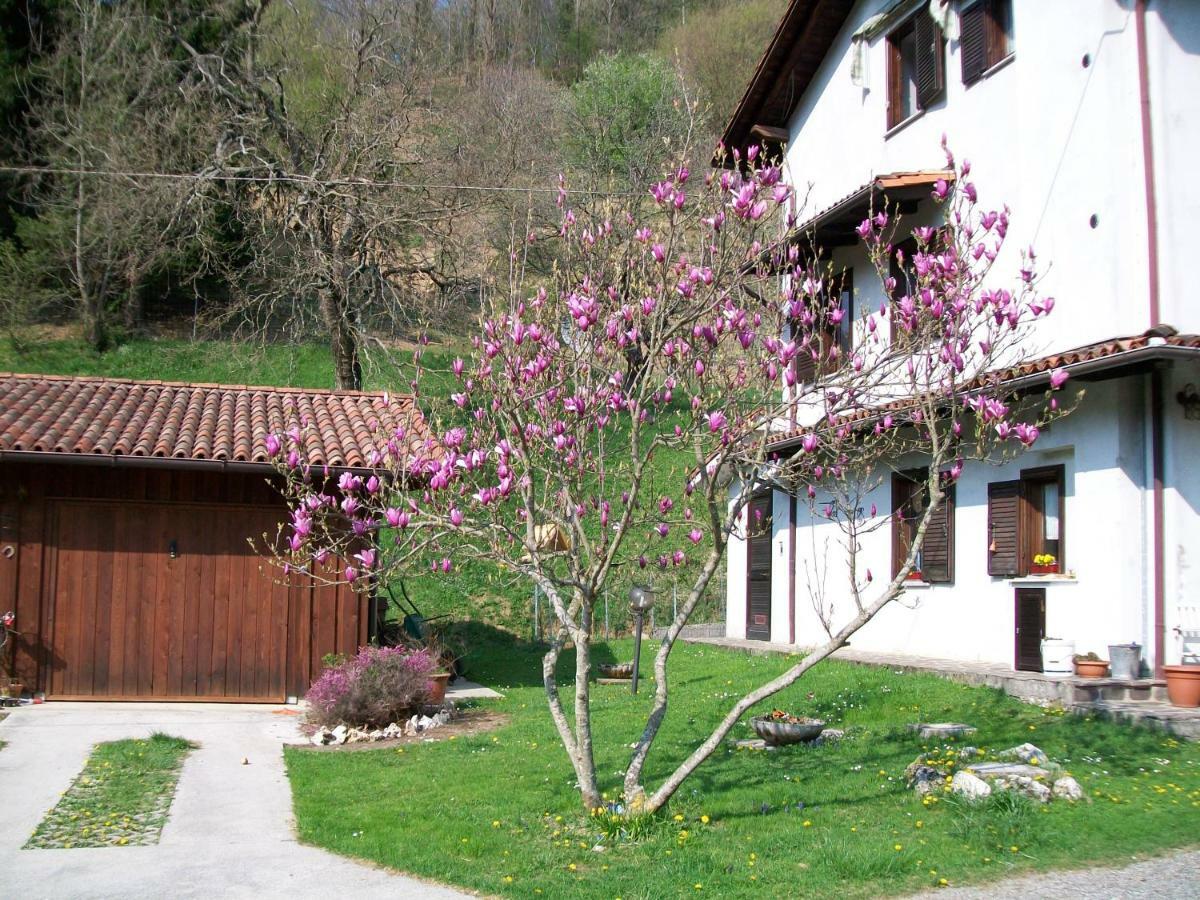 B&B In Fattoria Frisanco Dış mekan fotoğraf