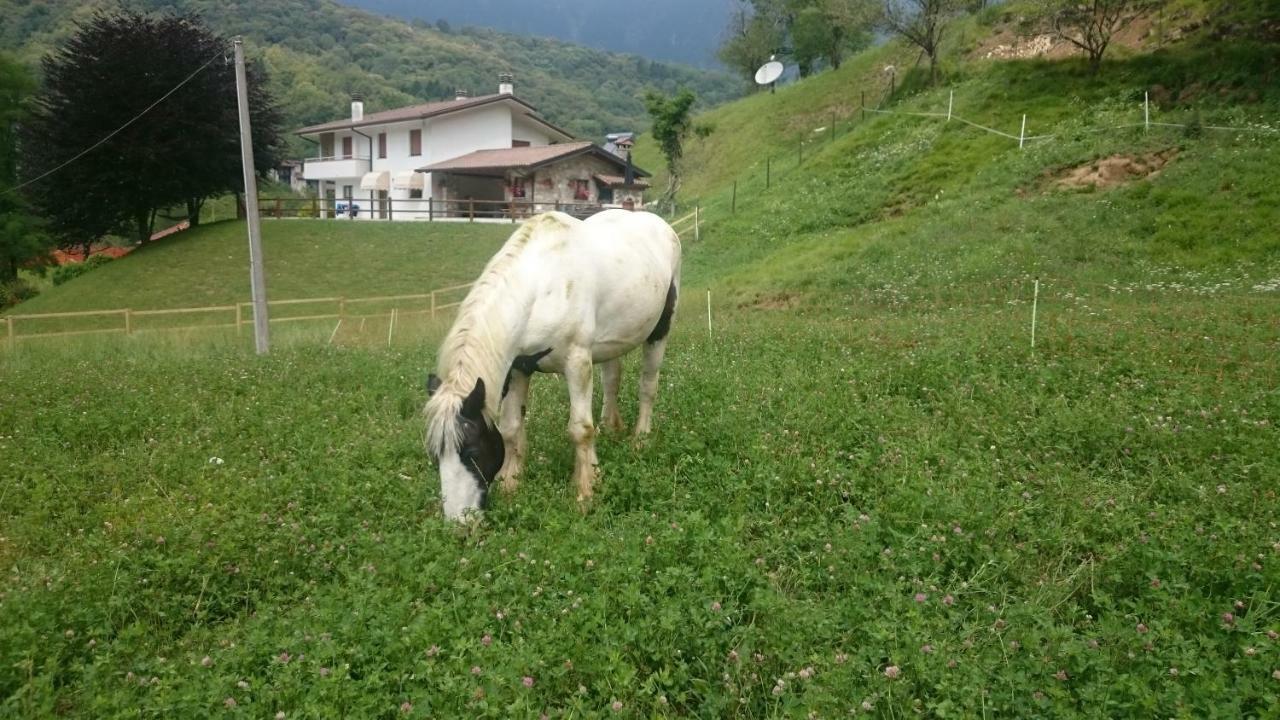B&B In Fattoria Frisanco Dış mekan fotoğraf