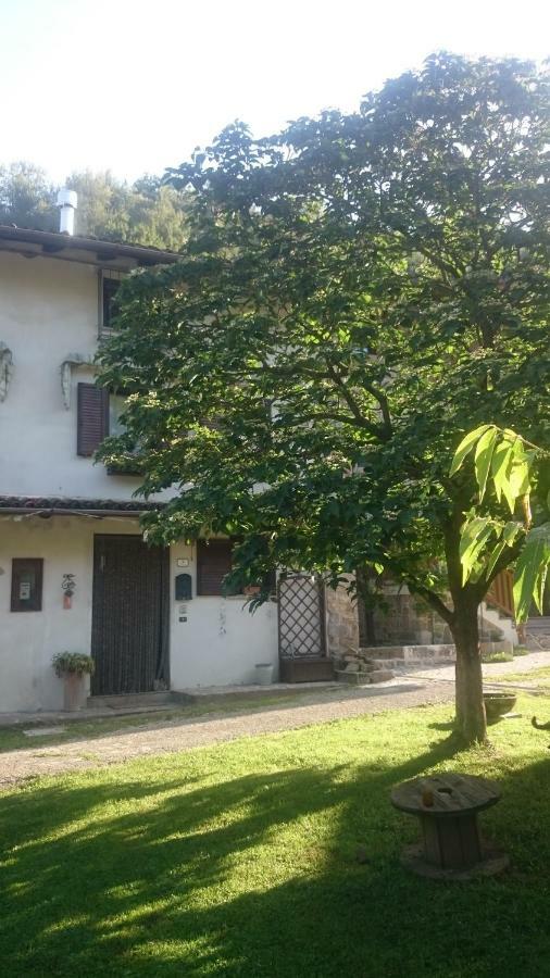 B&B In Fattoria Frisanco Dış mekan fotoğraf