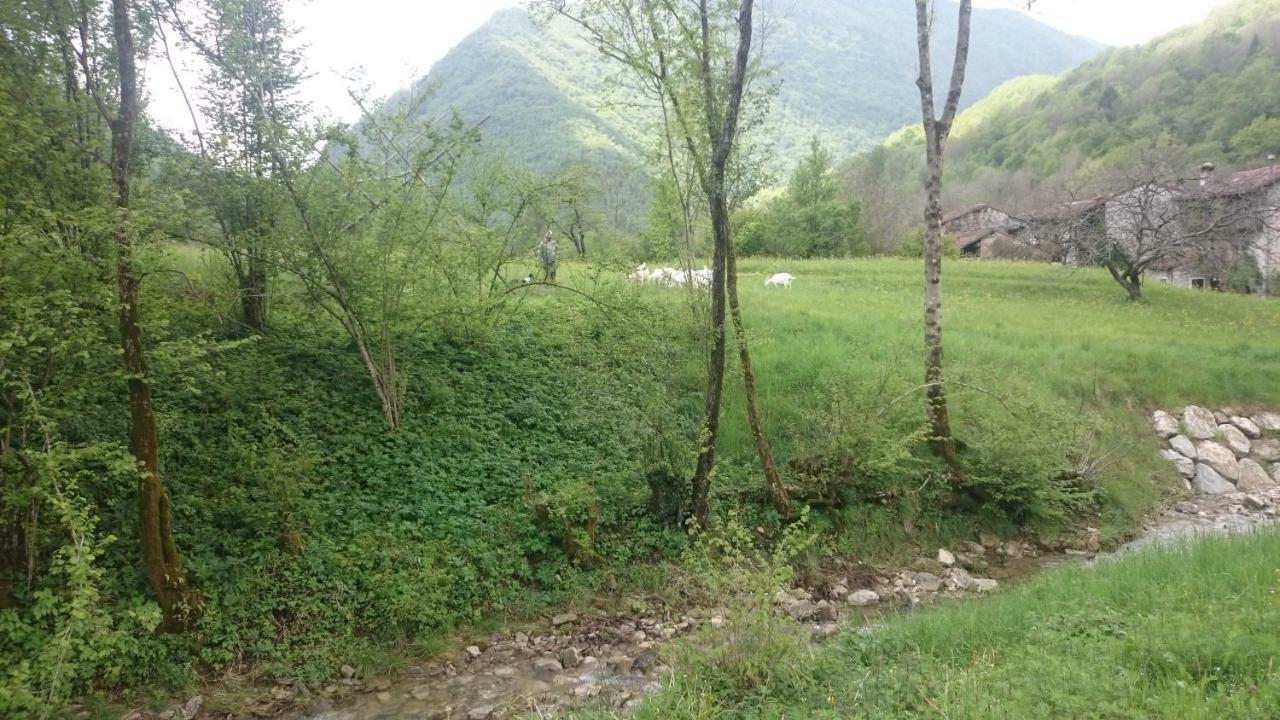 B&B In Fattoria Frisanco Dış mekan fotoğraf