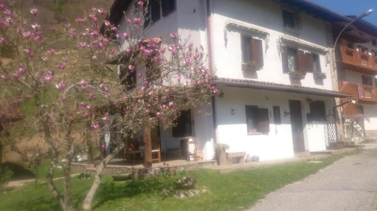 B&B In Fattoria Frisanco Dış mekan fotoğraf